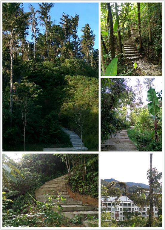 Strawberry Homestay Cameron Highlands Exteriör bild